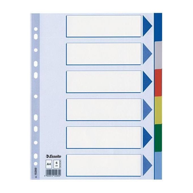 Esselte Cf20 Intercalare Ppl 6 T.colors A4