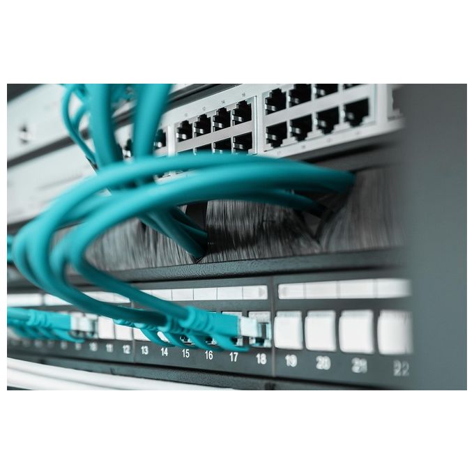Digitus pannello di chiusura armadio rack con foro entrata cavi protetto da spazzola colore nero 1u