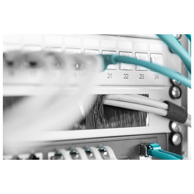 Digitus DN97660 Pannello di Chiusura con Spazzola Cavi Armadio Rack 19'' 1U colore Grigio