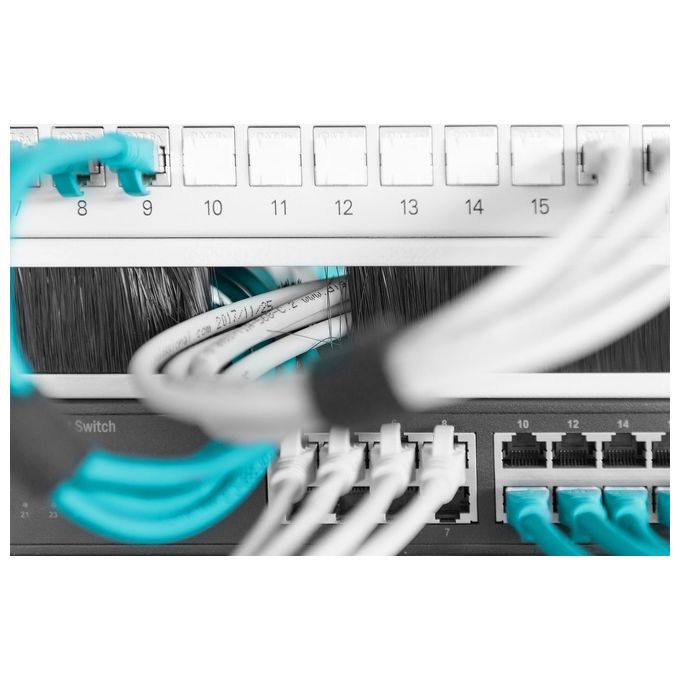 Digitus DN97660 Pannello di Chiusura con Spazzola Cavi Armadio Rack 19'' 1U colore Grigio
