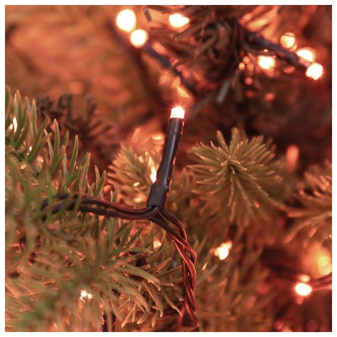 Lotti Filo Xmas King MiniLed Giochi Luce
