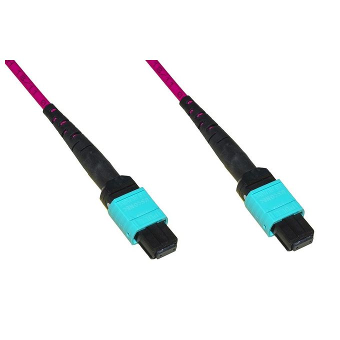 Link Cavo Fibra Ottica Mpo-Mpo Femmina-Femmina 12 Fibre Om4 Metodo A 2mt Tipo B