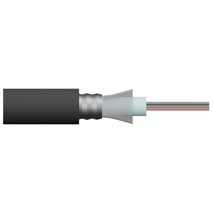 LINK cavo fibra ottica 12 fibre armato da esterno-interno antiroditore om4
