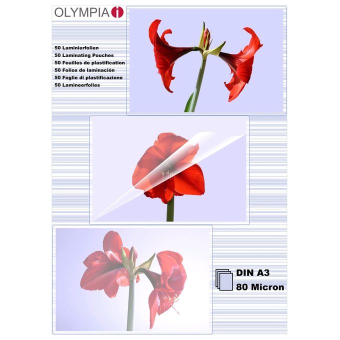 Olympia Buste di Plastificazione DIN A3 80 Micron 25 Pezzi