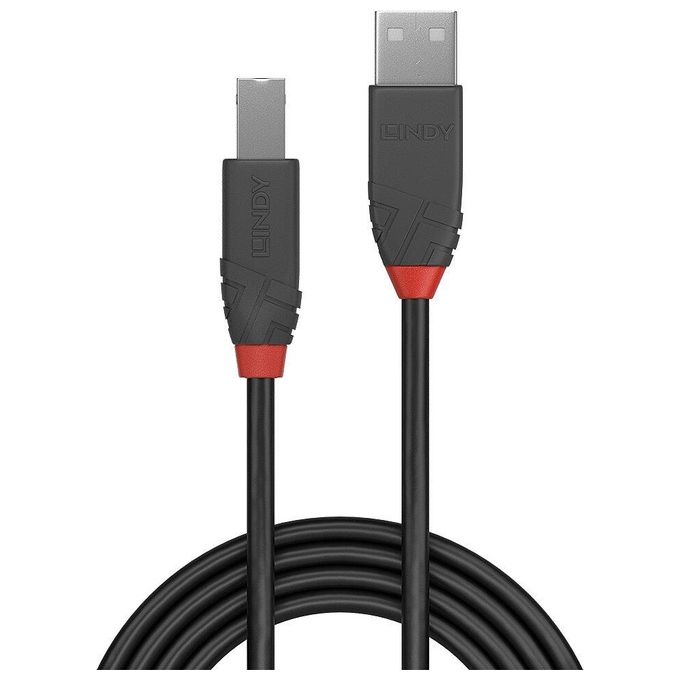 Lindy Cavo Usb 2.0 Usb A a Usb B 1mt