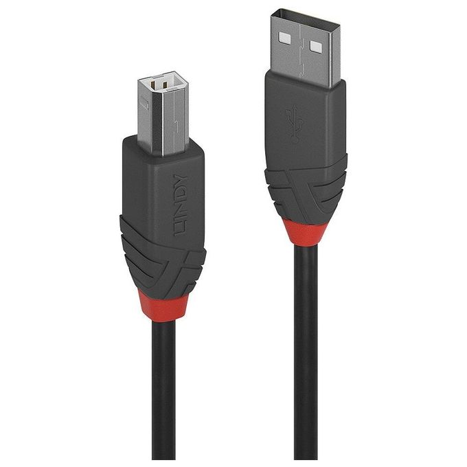 Lindy Cavo Usb 2.0 Usb A a Usb B 1mt