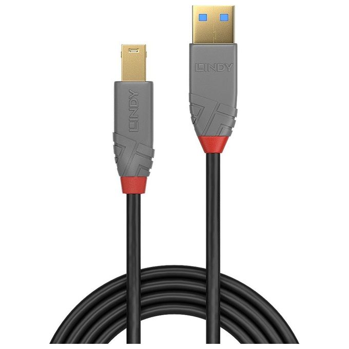 Lindy Cavo Usb 3.0 Tipo A a Usb B