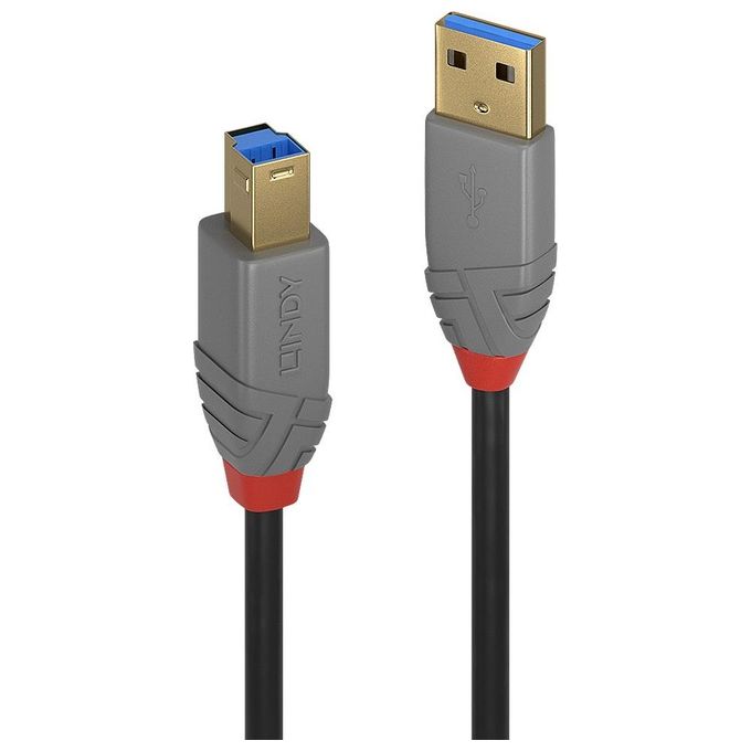 Lindy Cavo Usb 3.0 Tipo A a Usb B