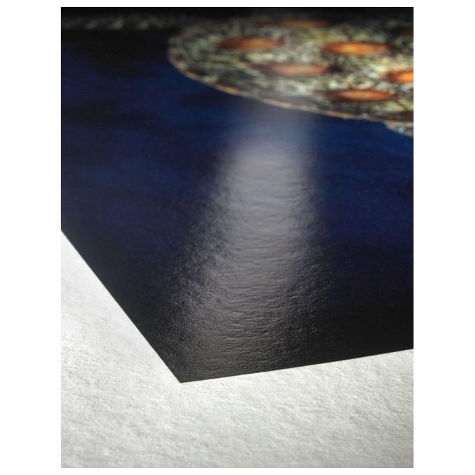 Hahnemuhle Digital FineArt A4 TestPack Carta Fotografica Lucida