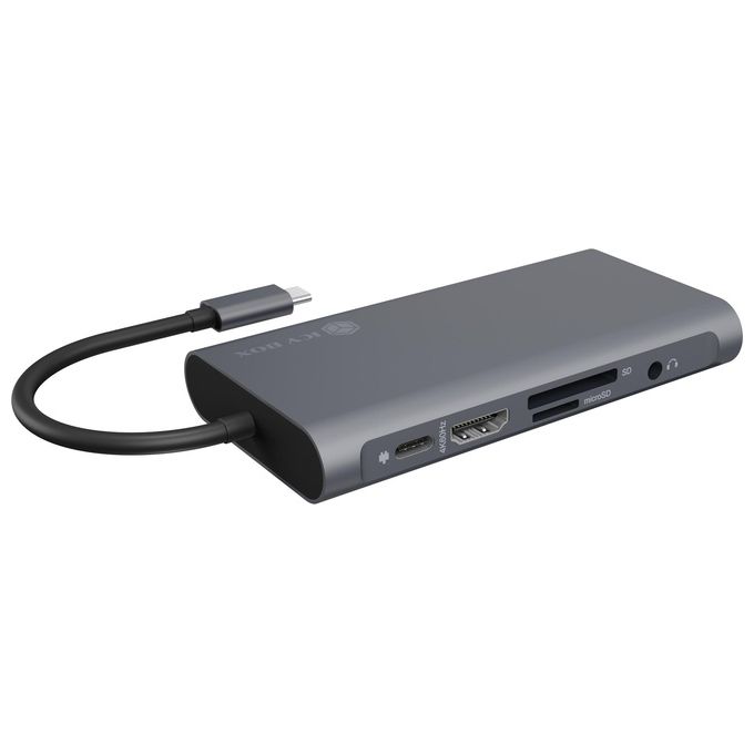 Raidsonic ib-DK4040-CPD Docking Station Notebook