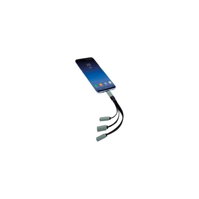 Ednet Hub Usb Tipo C a Coda con 2 Porte Usb 2.0 e 1 Porta Usb 3.0