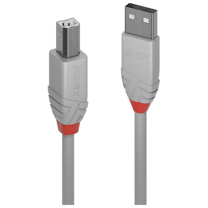 Lindy Cavo Usb 3mt 2.0 Usb A Usb B Grigio