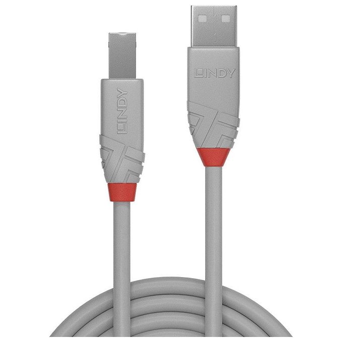 Lindy Cavo Usb 2.0 Tipo A a B Anthra Line 2mt