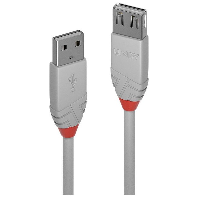 Lindy Prolunga Usb 2.0 Tipo Anthra 0,5mt