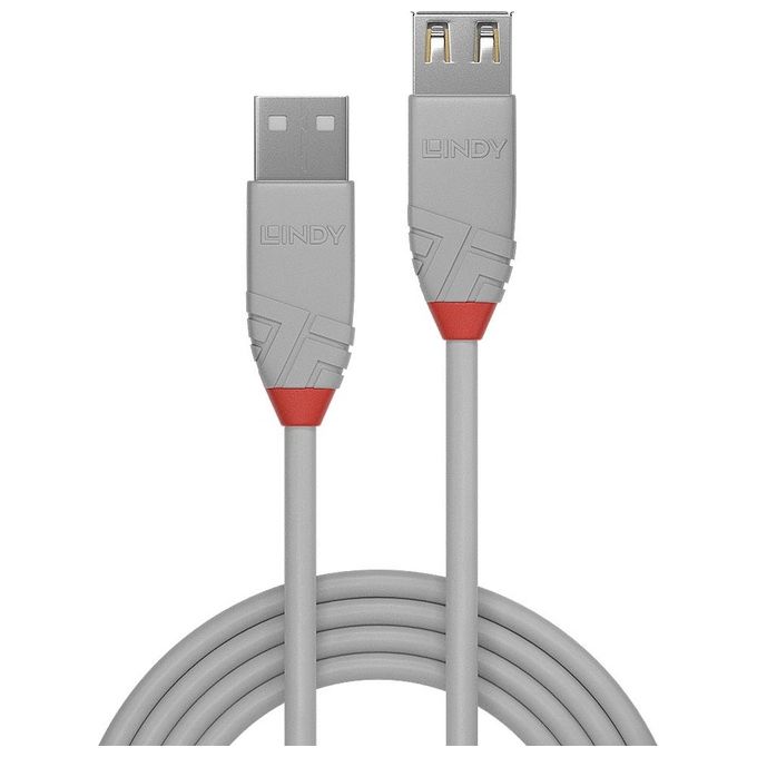 Lindy Prolunga Usb 2.0 A 0,2mt