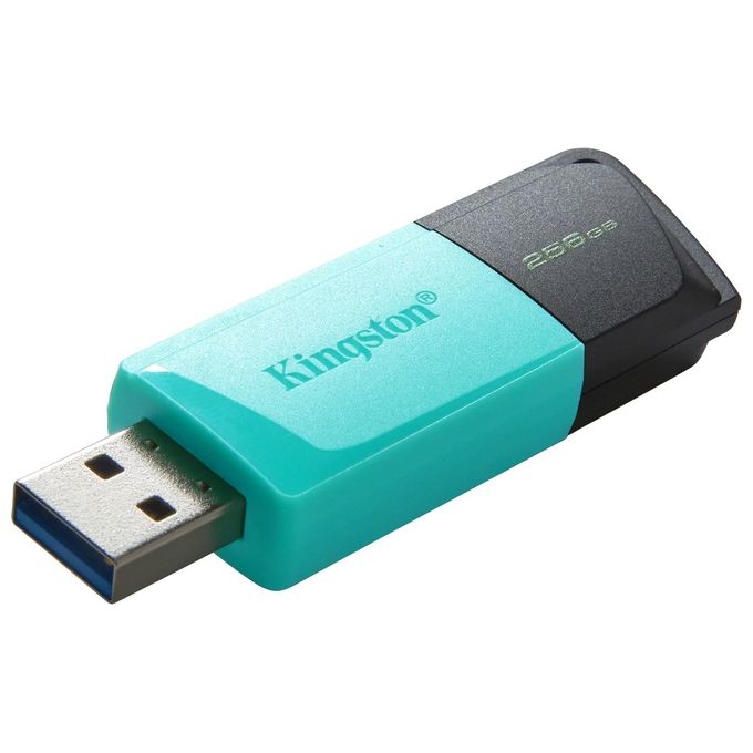 Kingston Flash Drive Usb3.2 256Gb Exodiam Nero-Verde