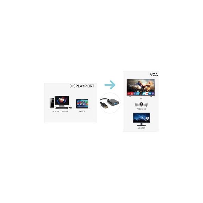 Hamlet Convertitore Video DisplayPort Vga