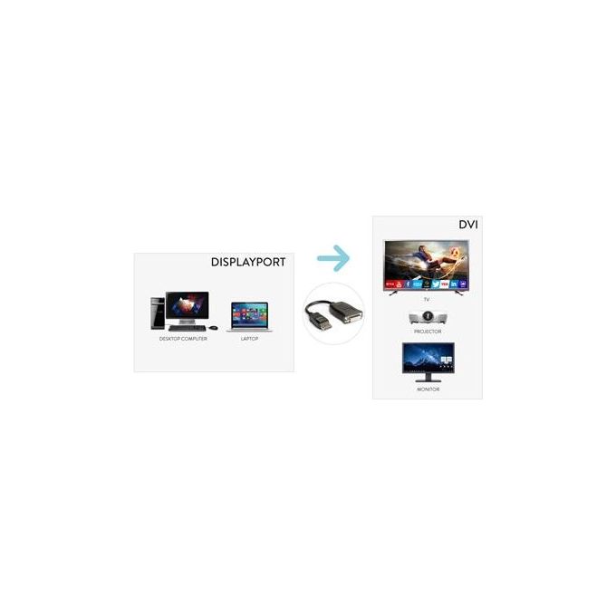Hamlet Adattatore dello Schermo DisplayPort M a DVI-I F DisplayPort 1.2 Supporto 4K Attivo