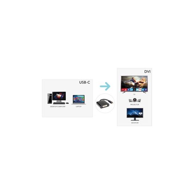 Hamlet Adattatore dello Schermo Usb-C M a DVI F Supporto 4K