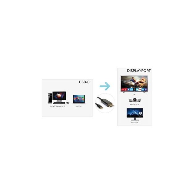 Hamlet Cavo dello Schermo Usb-C M a DisplayPort M Usb 3.1 2mt Supporto 4K