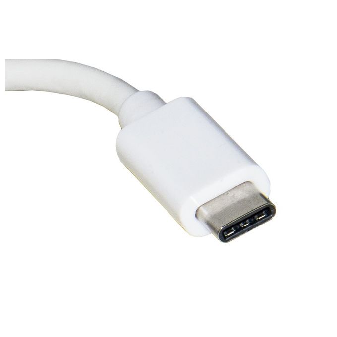 Link Adattatore Usb Tipo C Maschio a Vga Femmina