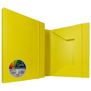Plastibor Cartelletta 3 Lembi Garda 40 Giallo
