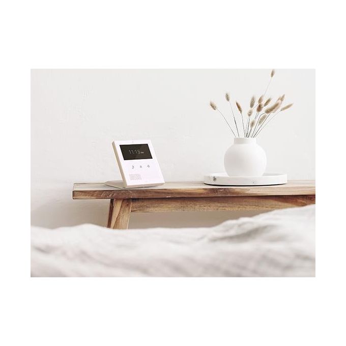 2N Clip Ethernet 4 Answering Unit