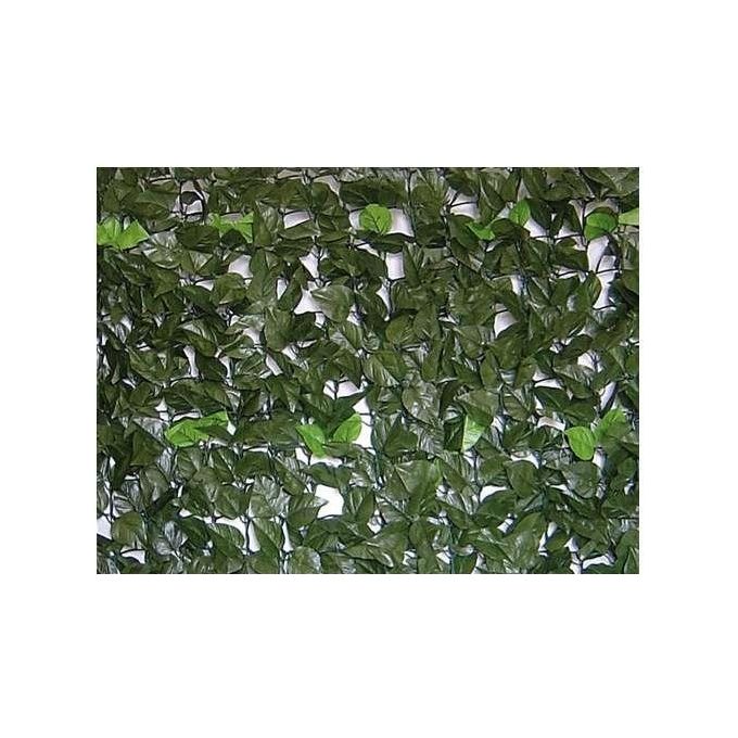 Brixo Siepe Evergreen Lauro 1.5x20mt