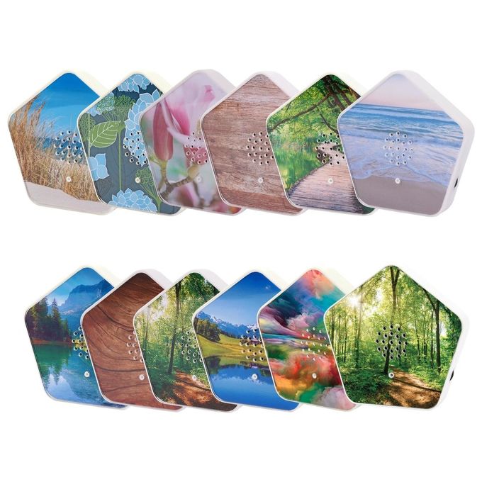 Olympia Sounds of Nature Box