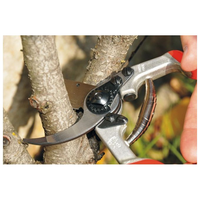 Felco Forbici Per Potatura