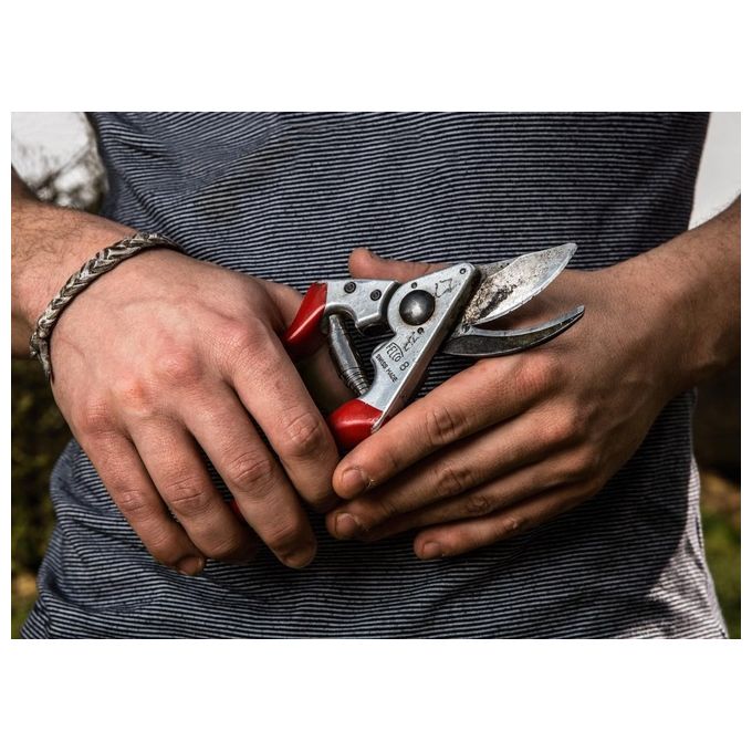 FELCO 100052387 Forbice da Potatura Mod. 8 Lama in Acciaio Temprato 52 mm Testa Inclinata Manici in Alluminio Forgiato Ergonomica con Ammortizzatori Regolazione Micrometrica colore Rosso