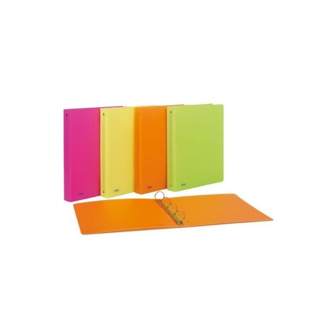 Favorit Confezione 10 Pezzi Raccoglitore Neon 4 Tondi D30