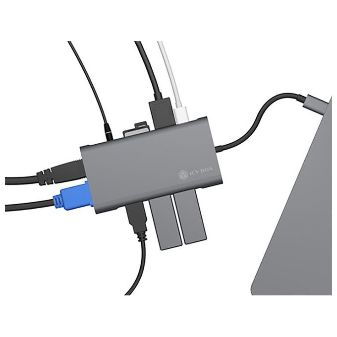 Raidsonic ib-DK4040-CPD Docking Station Notebook