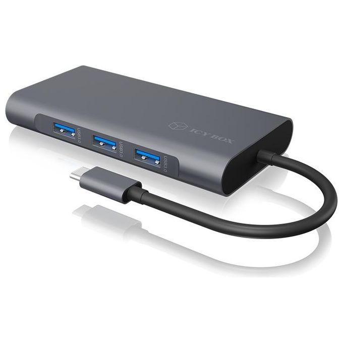Raidsonic ib-DK4040-CPD Docking Station Notebook