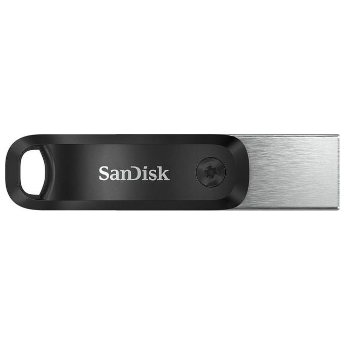 Sandisk SDIX60N-256G-GN6NE Unita' Flash Usb 256Gb 3.2 Gen 1 Grigio-Argento