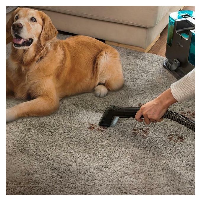 Cecotec 05082 Conga PopStar 3000 CarpetClean Aspirapolvere Portatile 3 in 1 400 W serbatoio 1,2 L IPX4 colore Nero