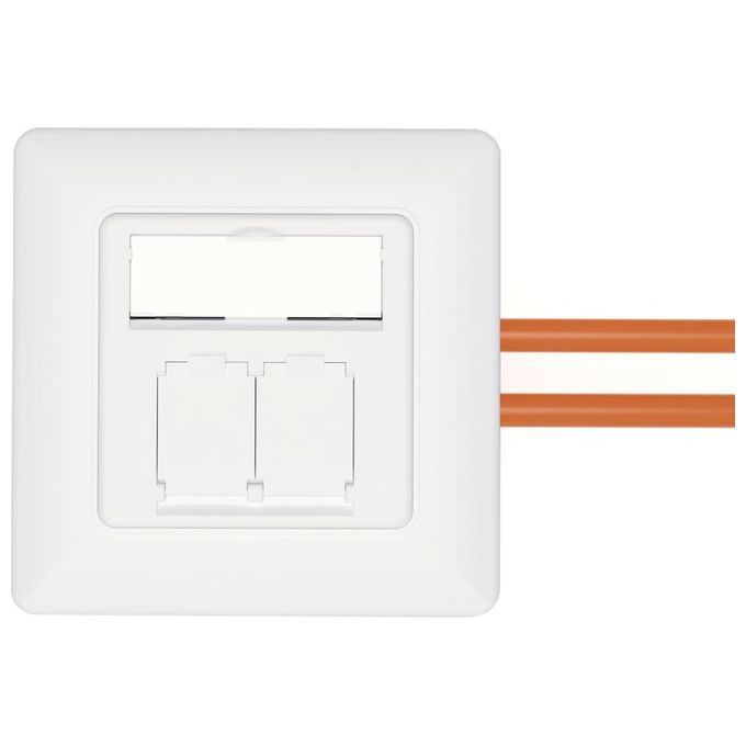 Digitus Presa di Rete Cat 6a EaCompatibile con Vari Design Schermata a Incasso