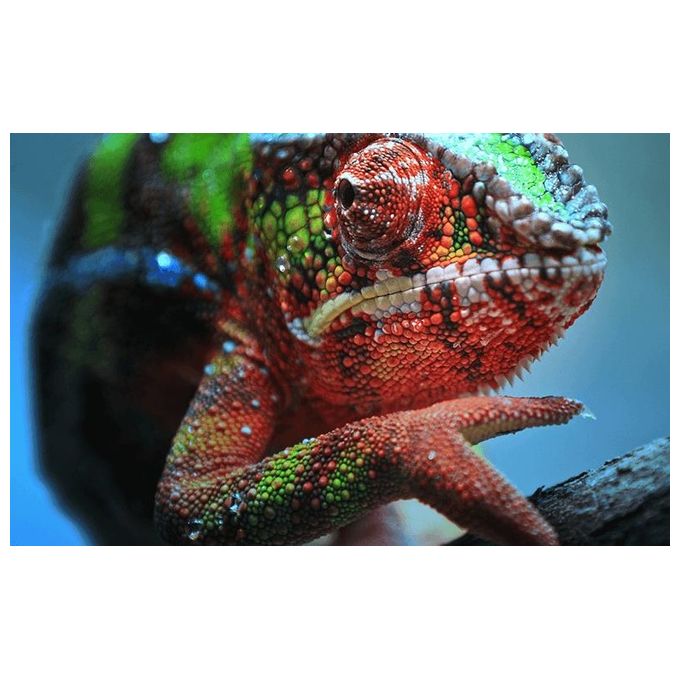Epson EH-TW7100 Proiettore 3LCD 3D 3000 Lumen 16:9 4K