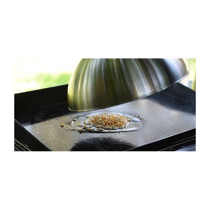 Campingaz 2000035409 Campana per Cottura a Vapore in Acciaio Inossidabile Diametro 32 cm Altezza 13,5 cm colore Argento