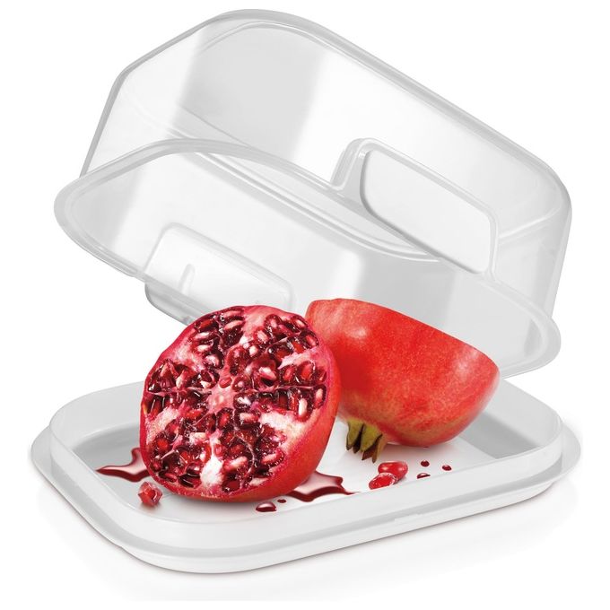 Tescoma Contenitore per Alimenti 14x10x6,6cm Freshzone