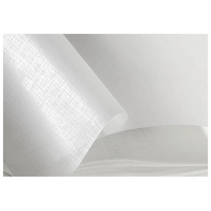 Hama Jumbo Forest Fox Album Fotografico e Portalistino 30x30cm 100 Pagine Bianche
