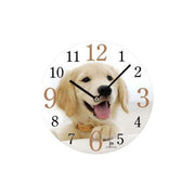 Orologio Muro D33.5 Vetro Cane