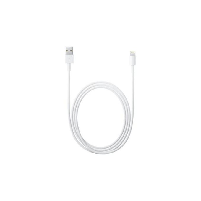 Apple Cavo Lightning a USB 2m Bianco MD819ZM-A per iPhone iPad iPod
