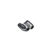Olympus 10x21 DPCI argento