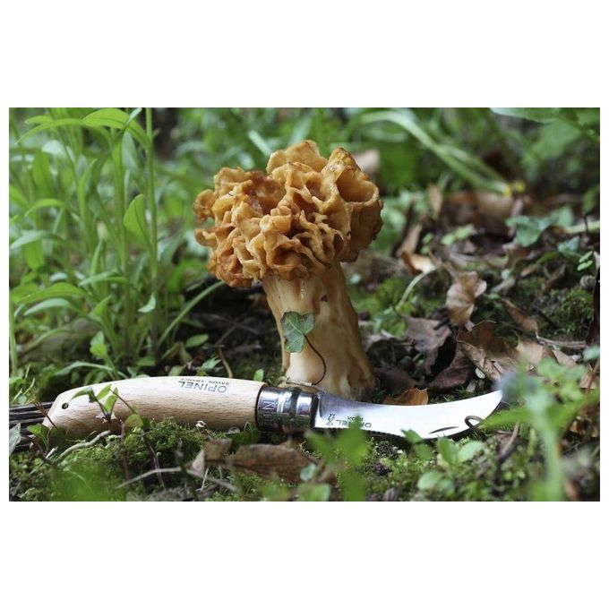 Opinel Roncolina Inox N. 8 Funghi
