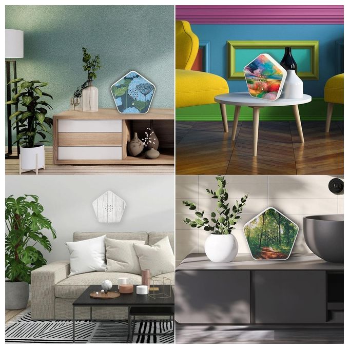 Olympia Sounds of Nature Box