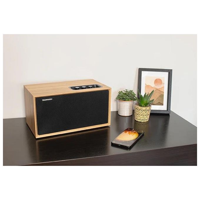 Thomson WS502 Cassa Acustica Bluetooth 5.0 100W Ingresso RCA USB AUX-IN Uscita Subwoofer Scatola in Legno colore Nero
