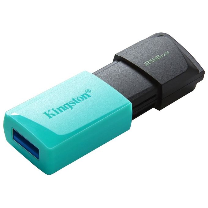 Kingston Flash Drive Usb3.2 256Gb Exodiam Nero-Verde