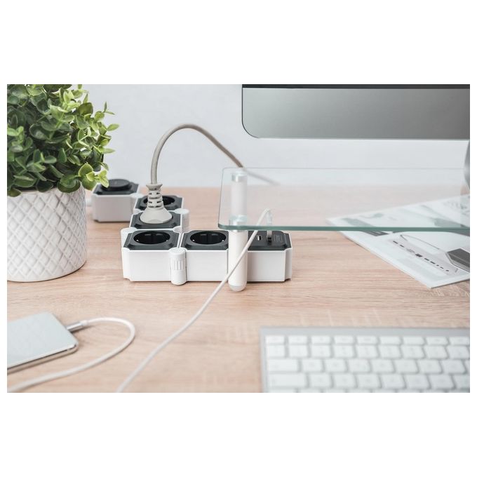 Digitus Presa Multipla Flessibile da 4 con 2 Attacchi Usb e Interruttore
