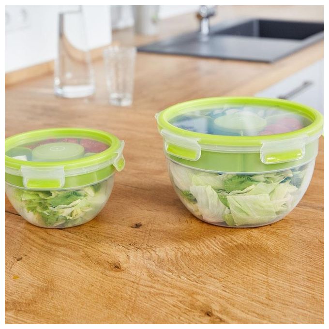Emsa ClipeGo Contenitore Porta Insalata 2.6 Litri